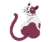 mikes oriental shorthair cats